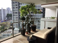 Coralis (D15), Condominium #560917311